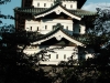 The castle of Hirosaki