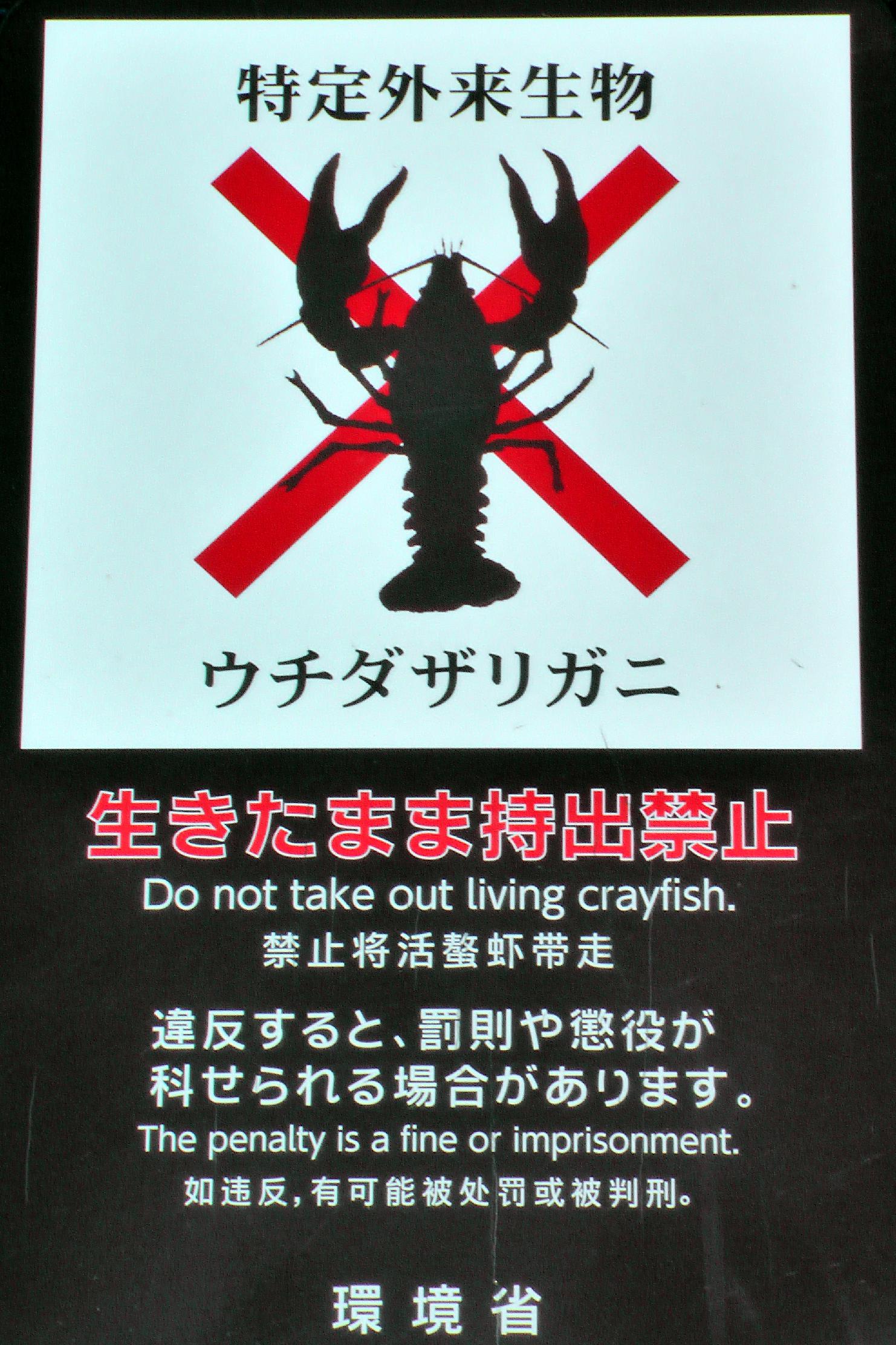 No reason to crab