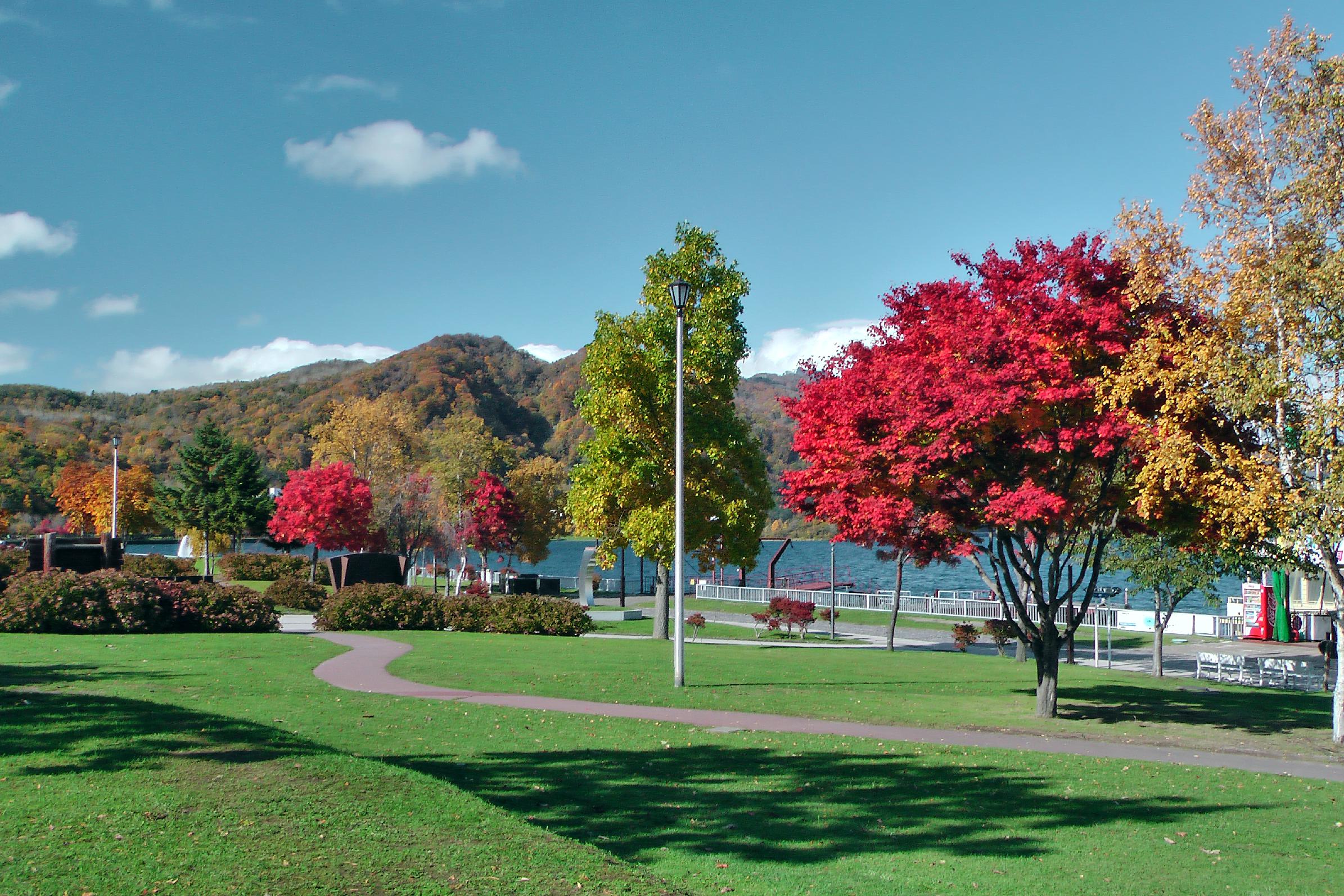 autumn foliage at Lake Toya