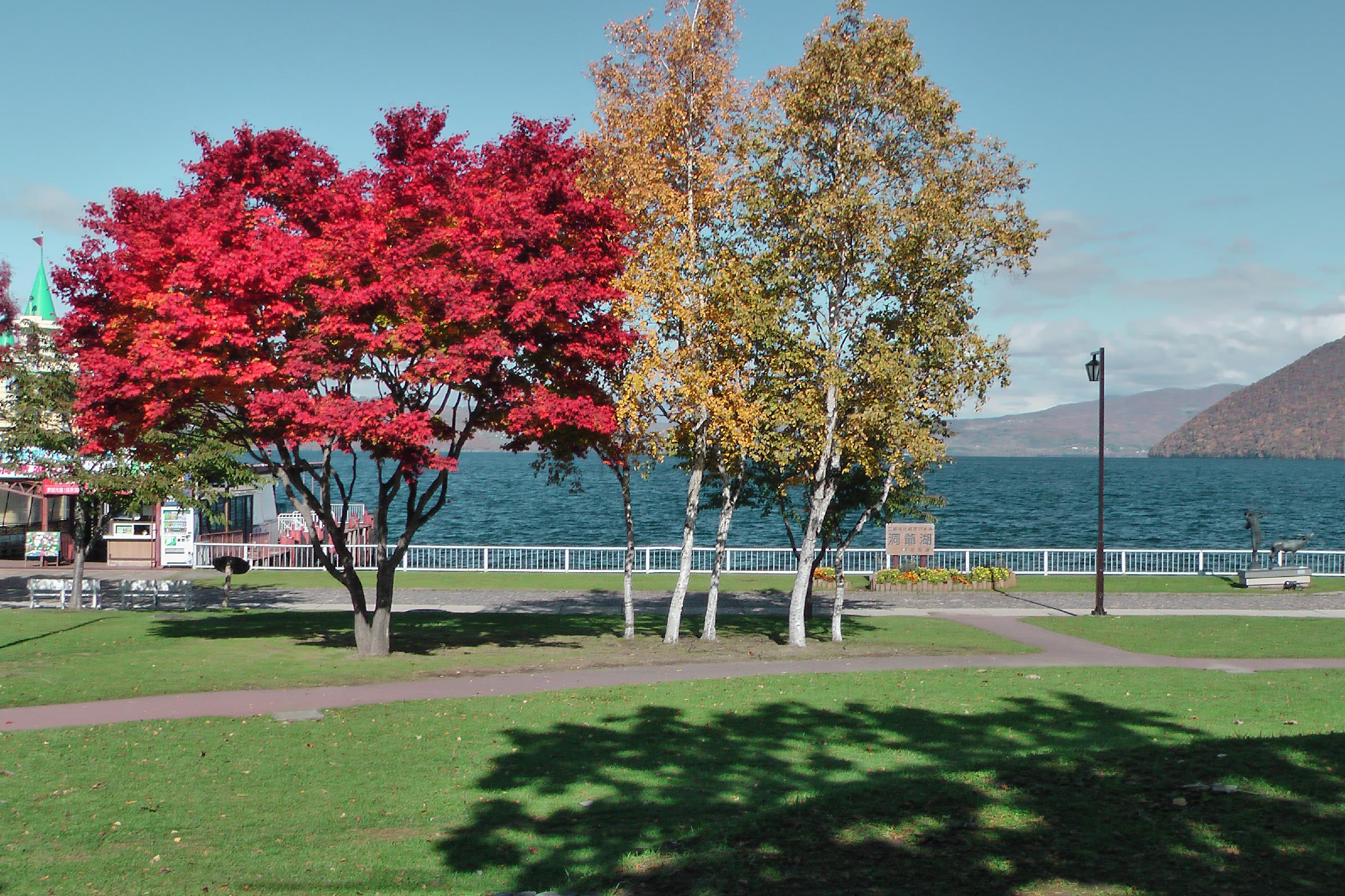 autumn foliage at Lake Toya