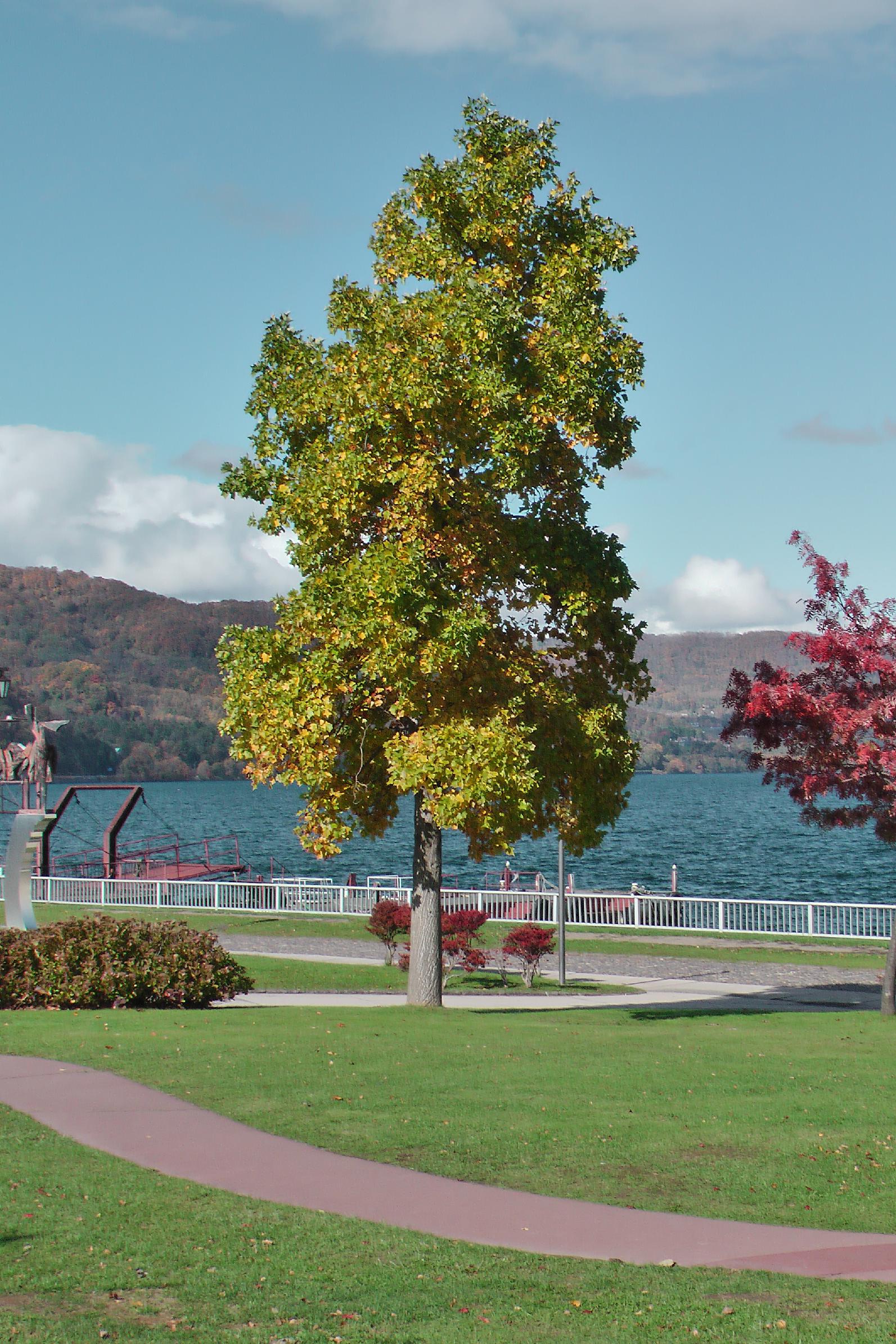 Lake Toya