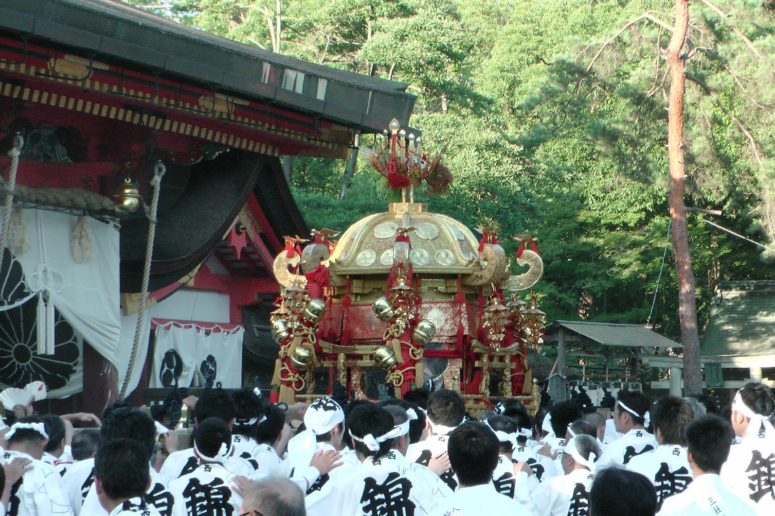 While carrying the portable pagodas around the shrine they are being shaken to honour the Shinto good Susanoo.