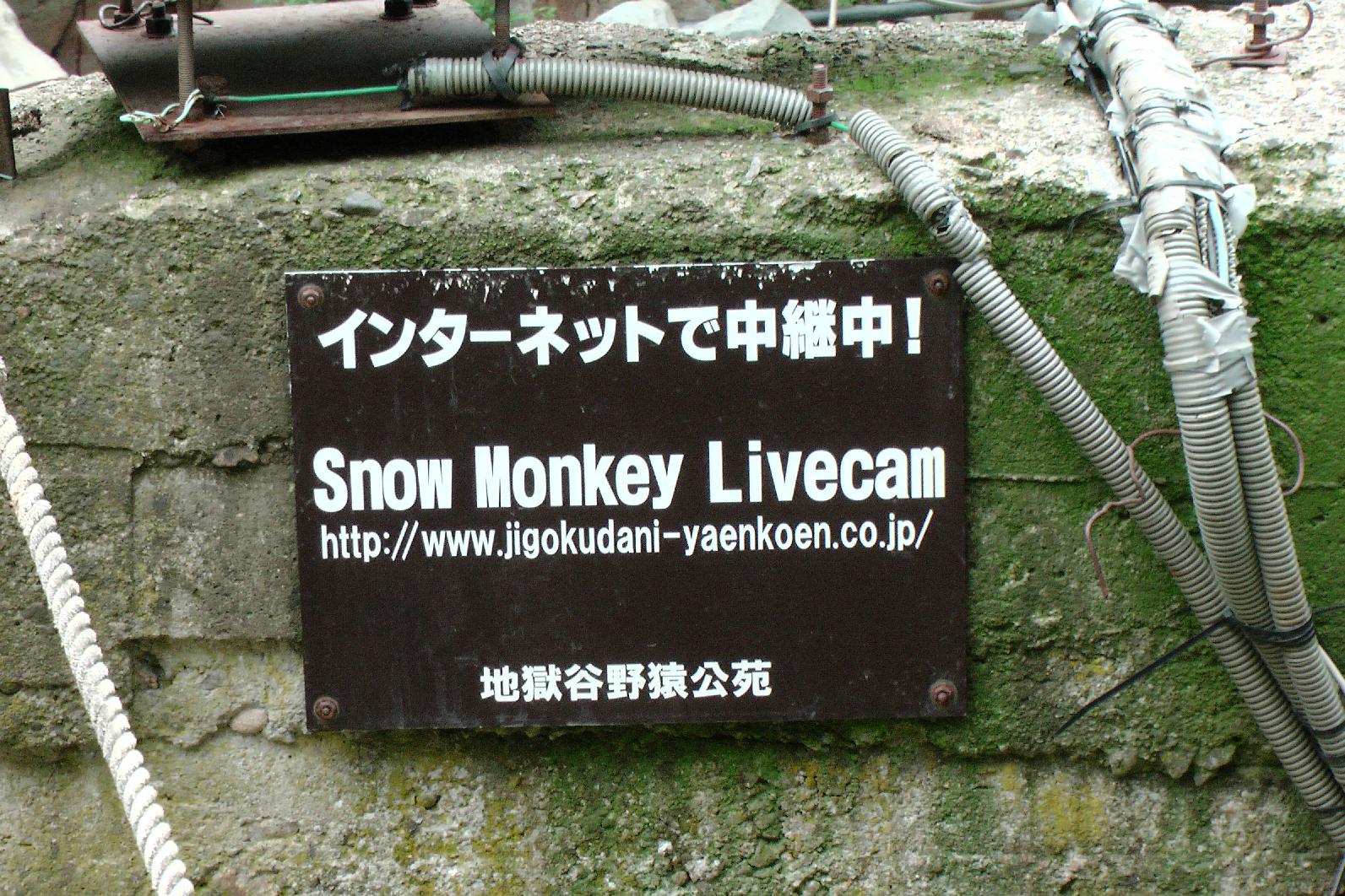 Sign without Monkeys