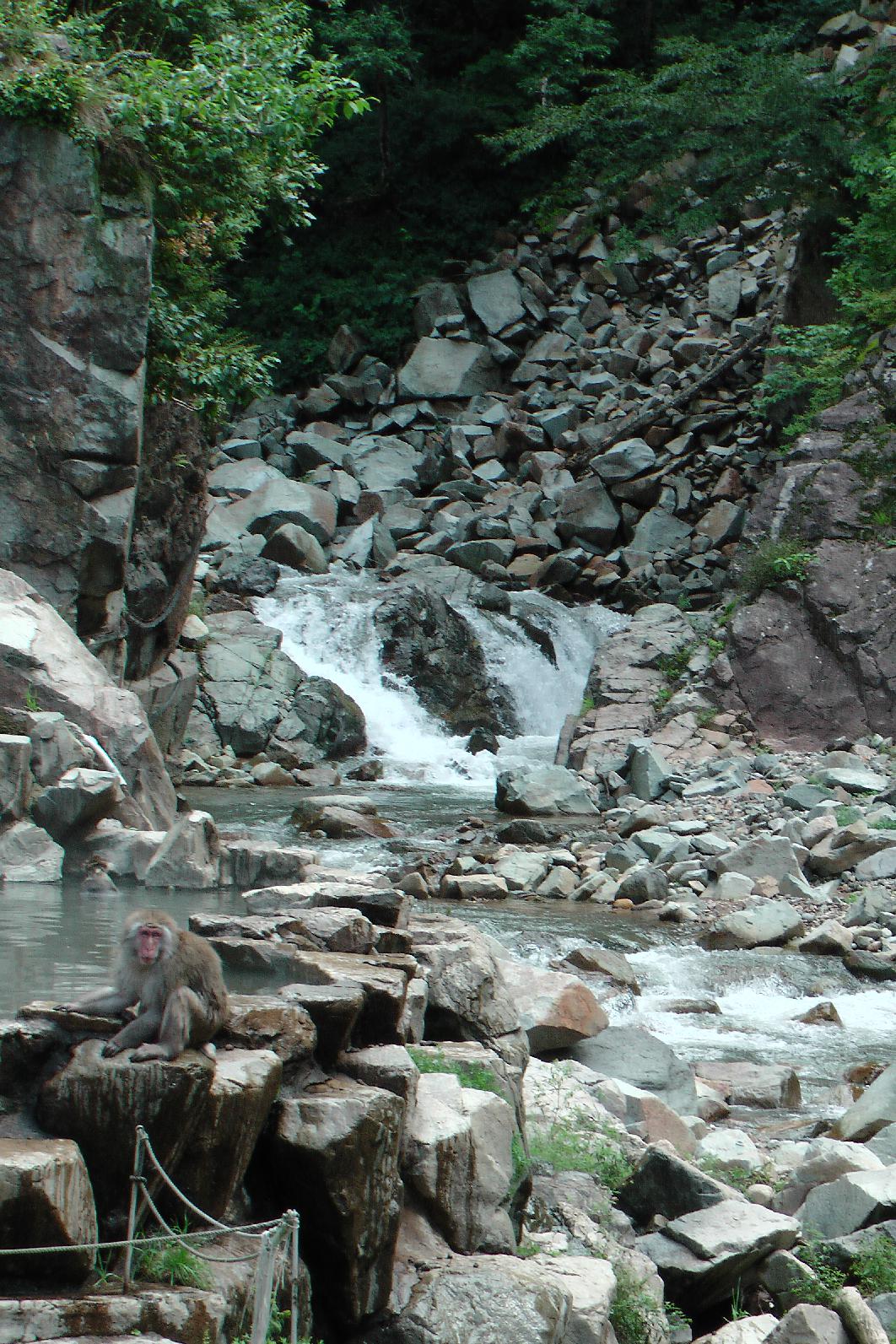 Snowmonkey waterfall