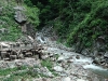 Snowmonkey onsen and river 