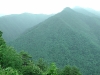 View after the Torii pass. I don't want to get lost here.