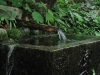 drinking water well at the tori pass