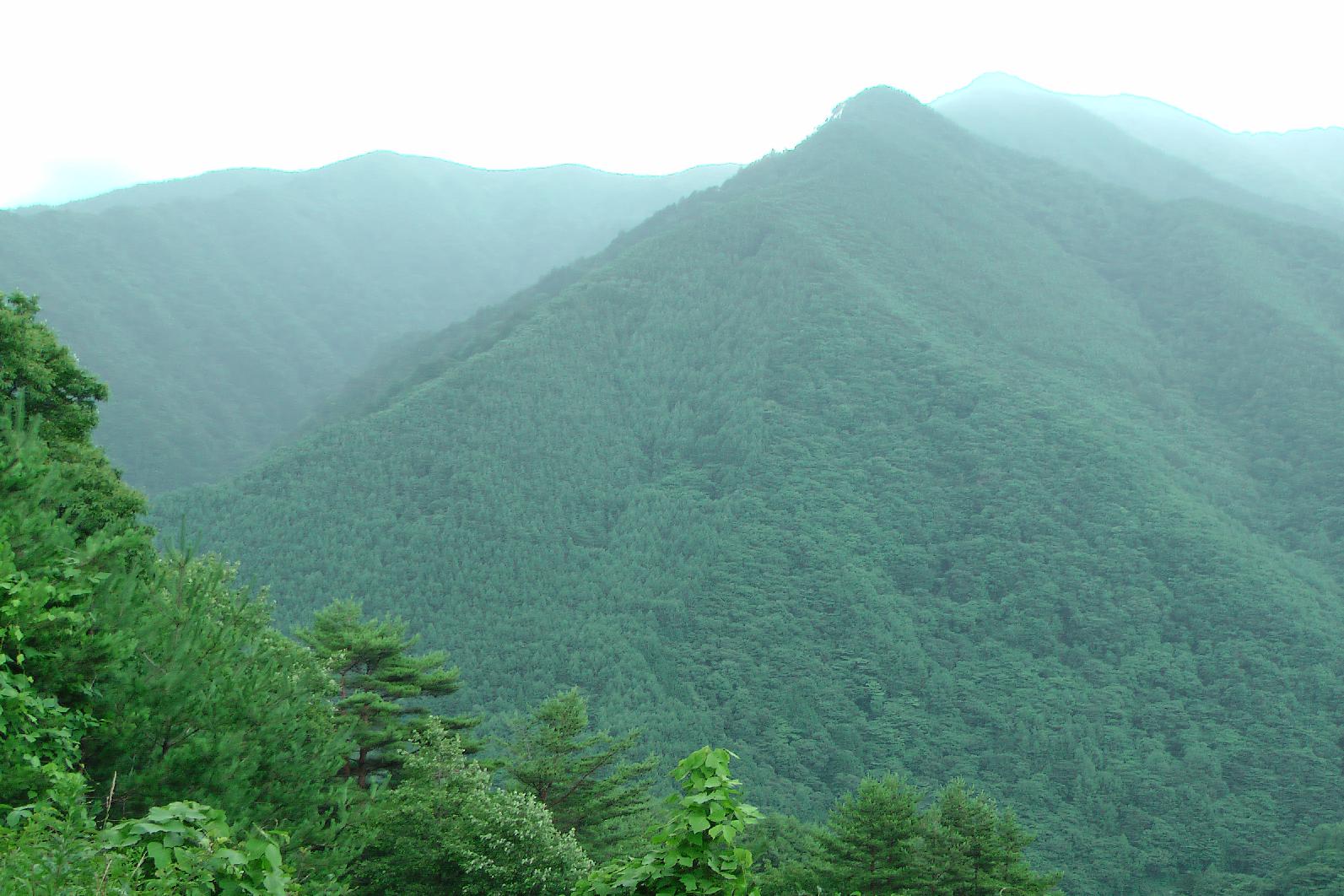 View after the Torii pass. I don't want to get lost here.