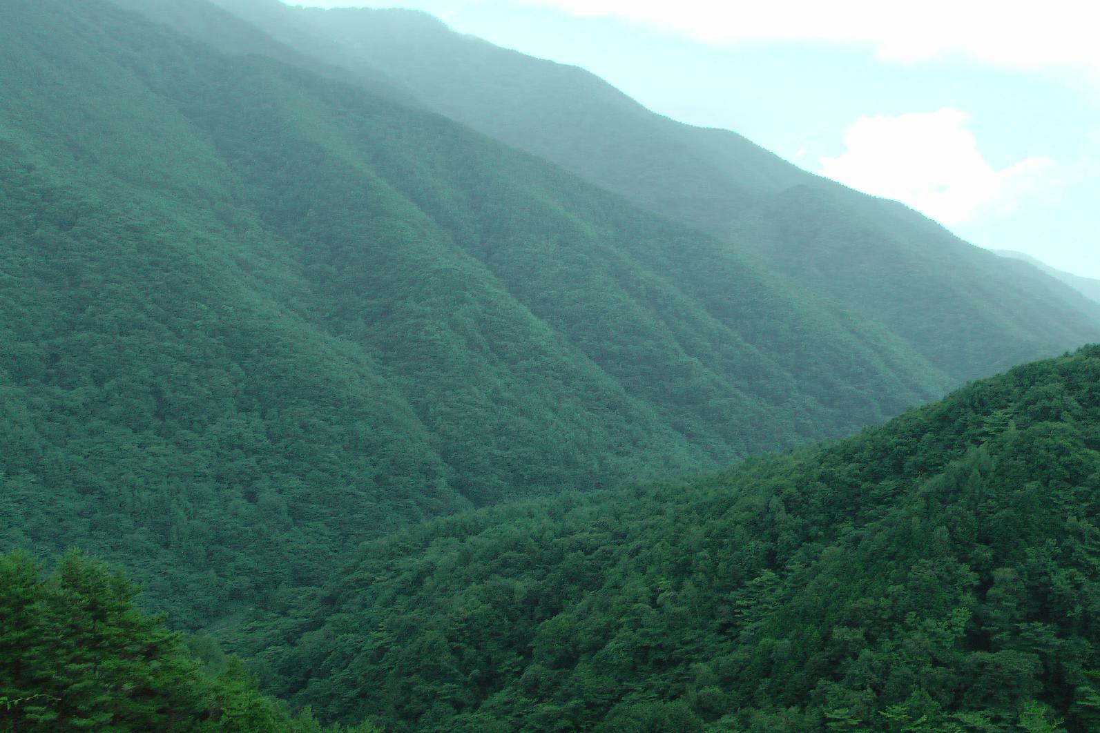 The green hell of Japan