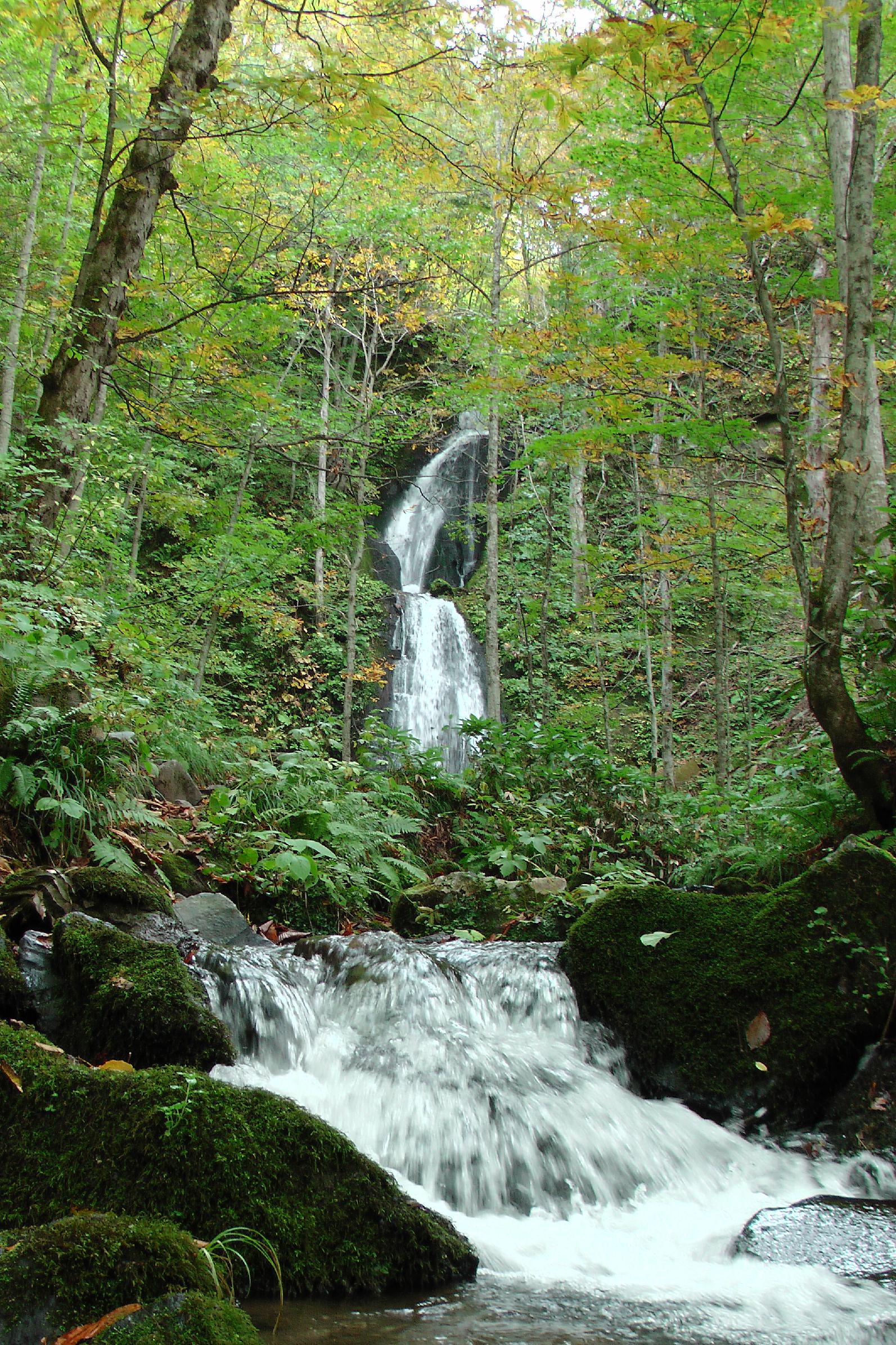 Oirase gorge