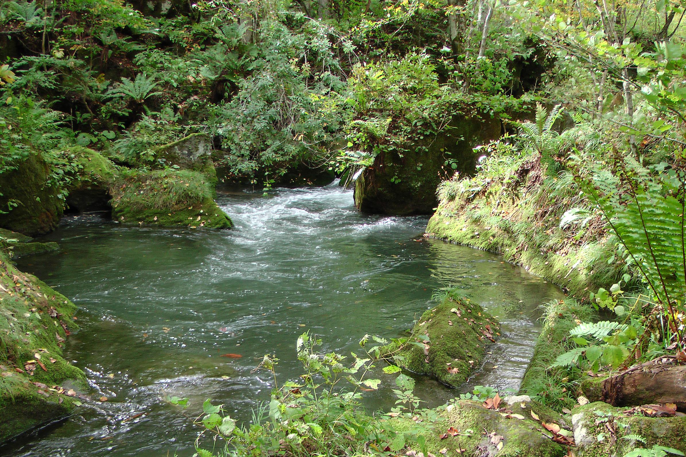 Oirase gorge