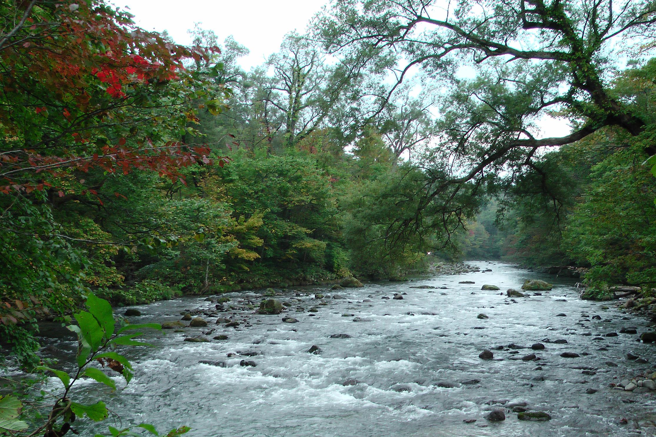 The Oirase river at the food of the mountain