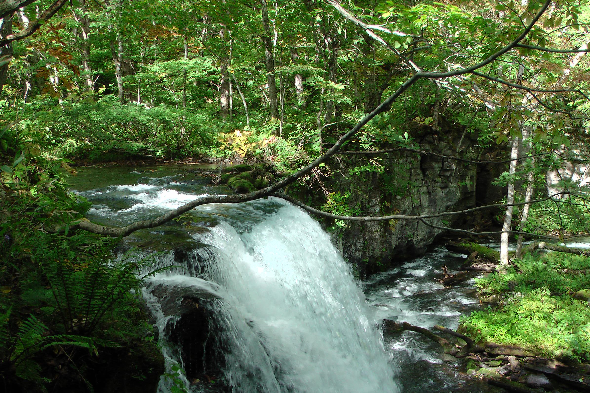 Oirase gorge