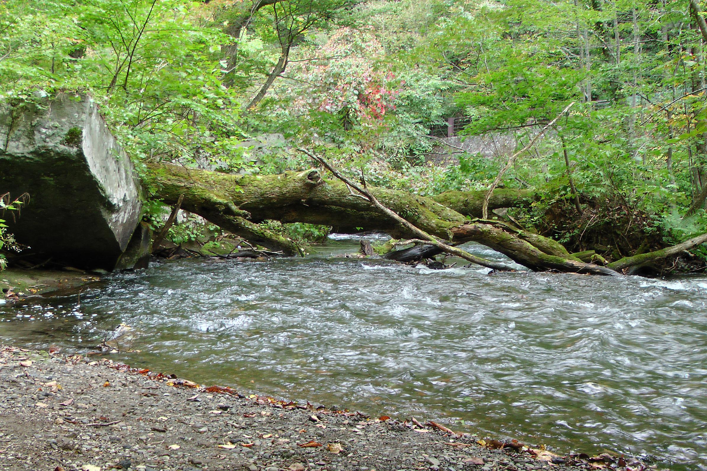 Oirase gorge