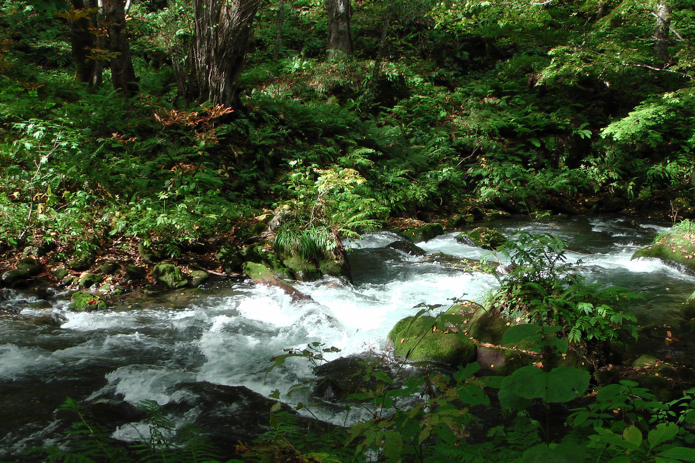 Oirase gorge