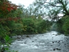 The Oirase river at the food of the mountain