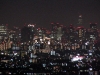 Osaka's skyline at night