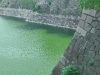 The castle ditch of Osaka's castle