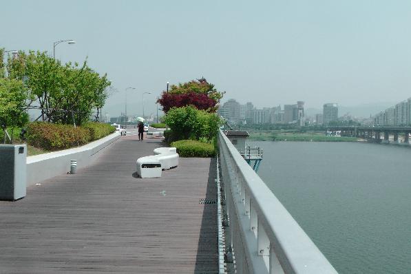 Car and pedestrian bridge with beautifully aligned plants.