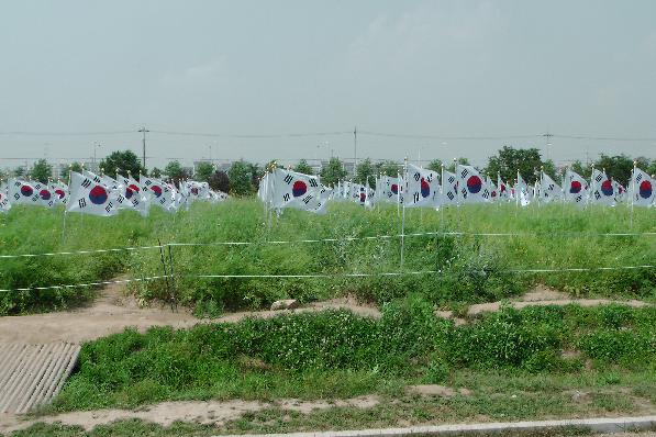 this is where the Korean flags grow