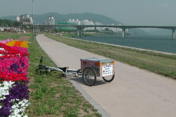 Flowers, bicycle lane, river