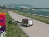 Flowers, bicycle lane, river