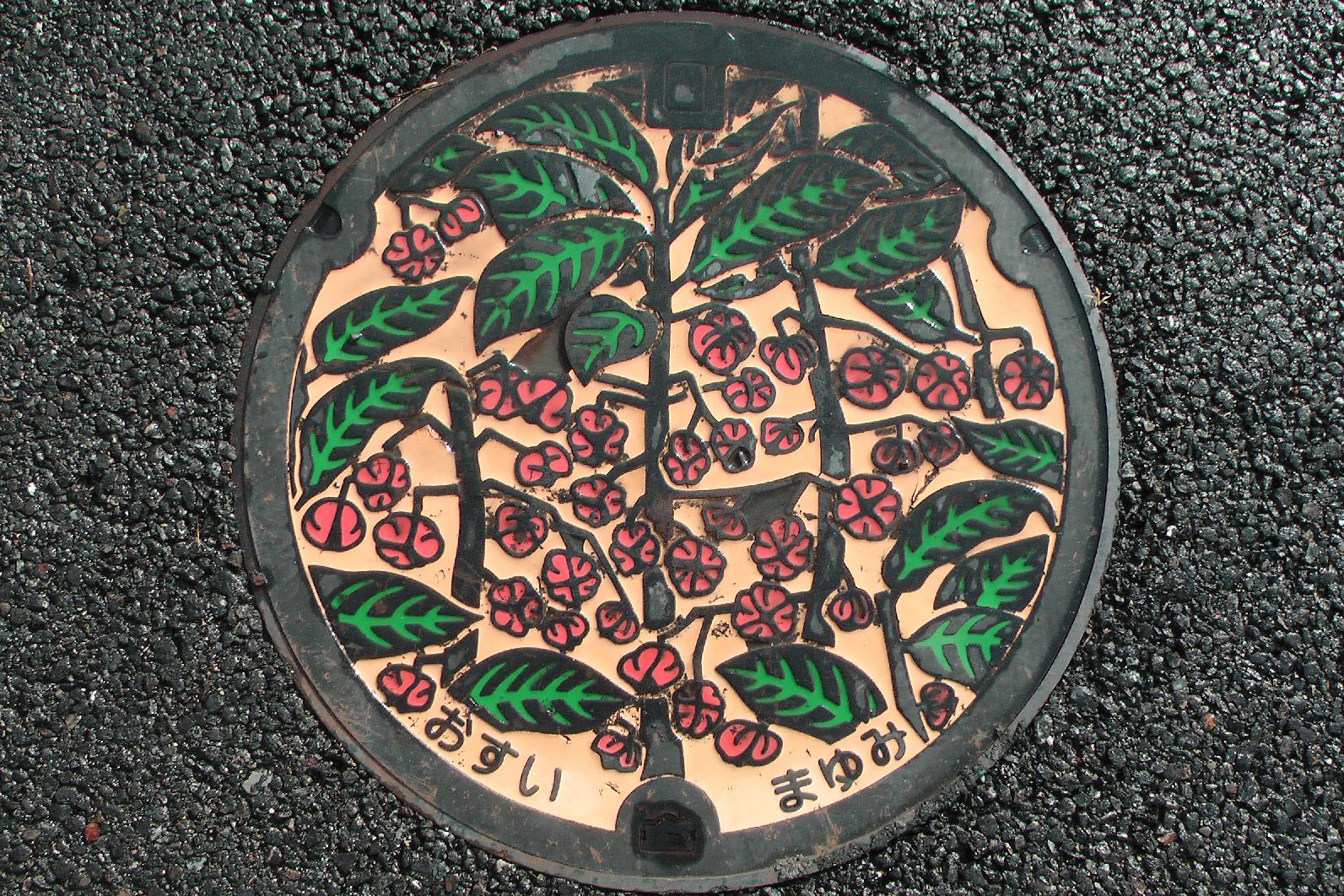 Manhole cover in Motomiya