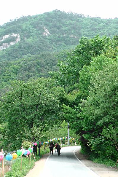 The way to the temple complex