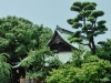 Tochoji Temple