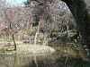 Arisugawa park