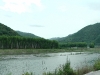 Nishiki river