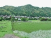 rice fields short before Kudamatsu 