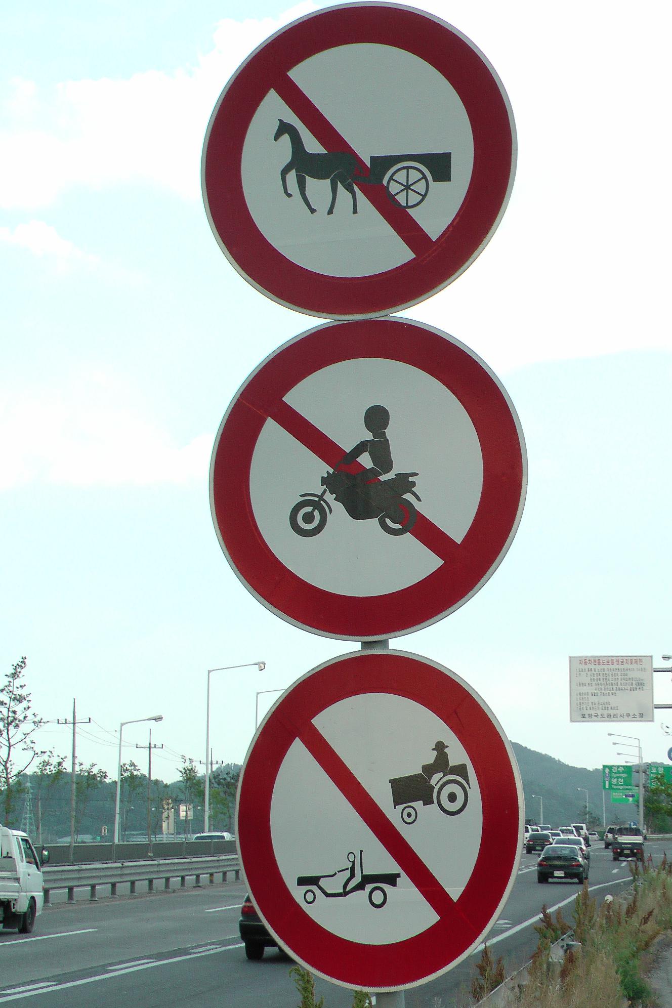 cycle-friendly country South Korea.Only horse cars, trucks or mopeds are forbidden to use this street. Bicycles not ;)