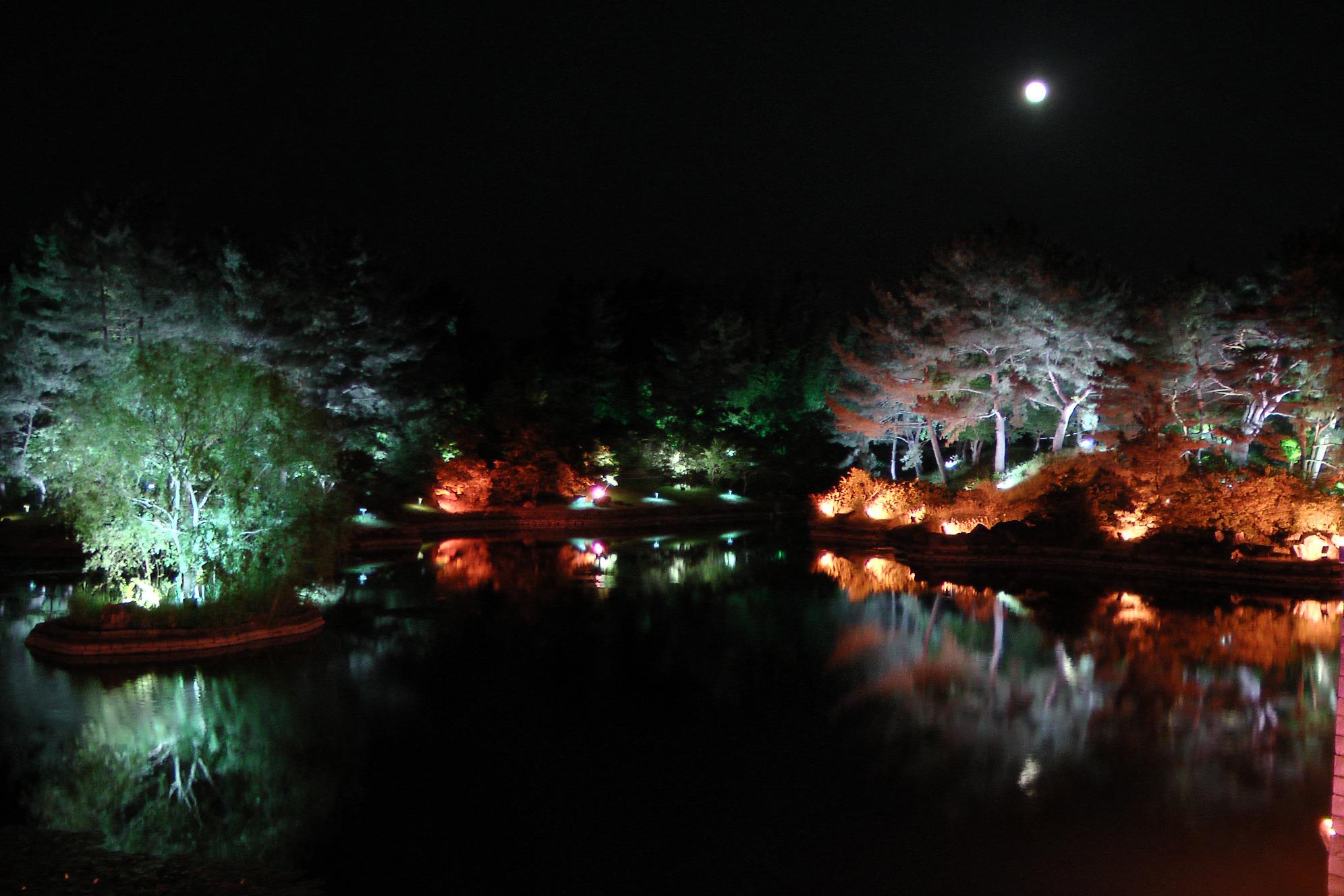 Anapji royal pond