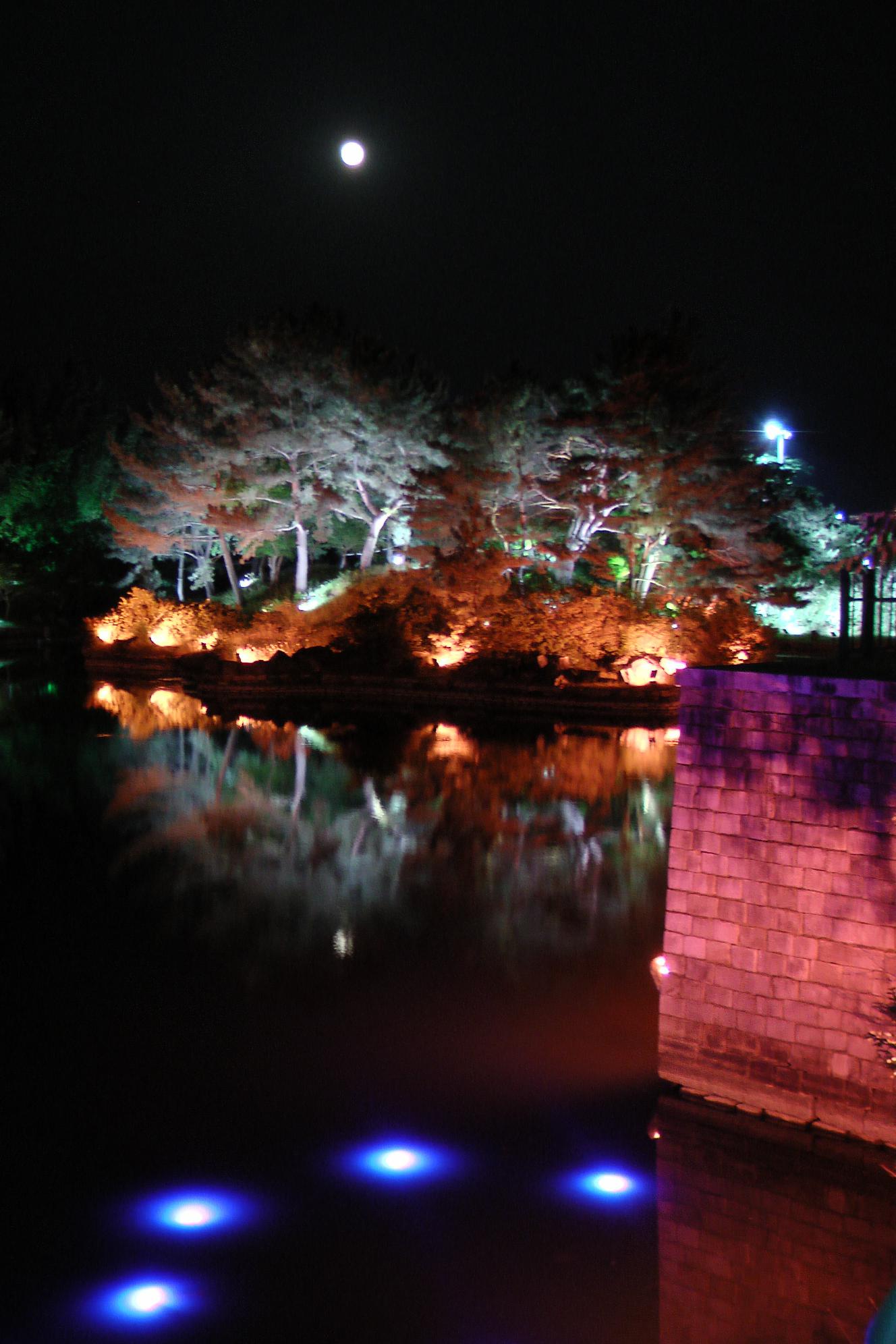 Anapji royal pond