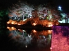 Anapji royal pond