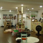 Cat cafe in Seoul