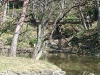 Arisugawa park