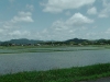 rice fields on the way from Ube to Iwakuni