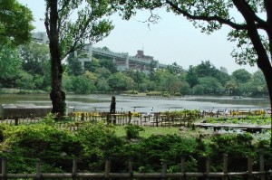 Park in Chiba
