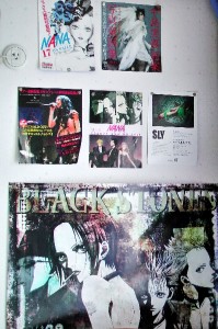 Poster wall of the 16 year old daughter.