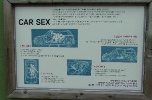 Car Sex