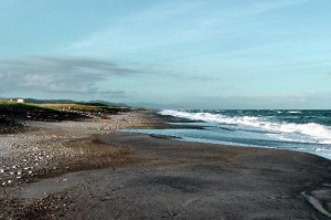 Alongside the coast to the north