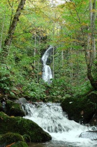 Waterfall in the Oirase Gorge